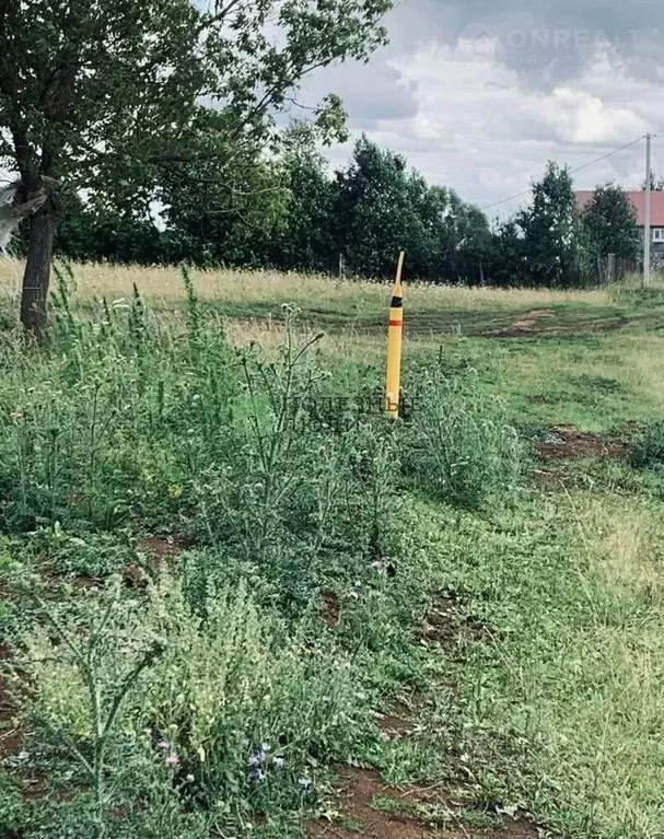 Участок в Башкортостан, Иглинский район, Турбаслинский сельсовет, с. ... - Фото 0