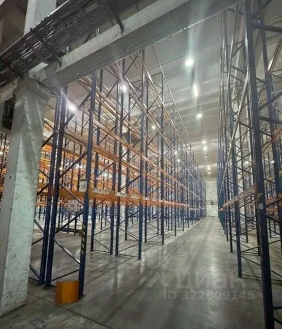 Склад в Санкт-Петербург просп. Непокоренных, 63И (2000 м) - Фото 2