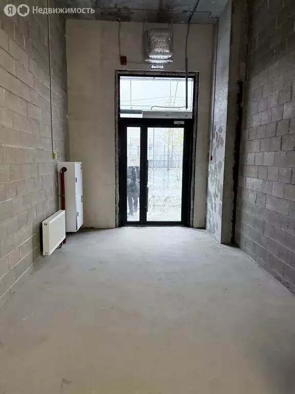 Помещение свободного назначения (56.2 м) - Фото 2