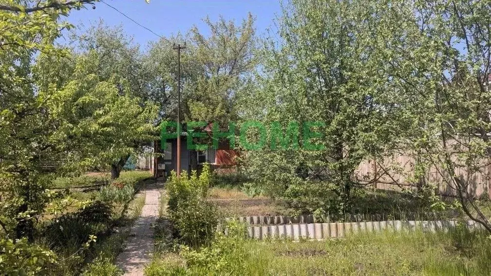 Дом в Саратовская область, Саратов Юго-Восток-91 СНТ, 384 (46 м) - Фото 1