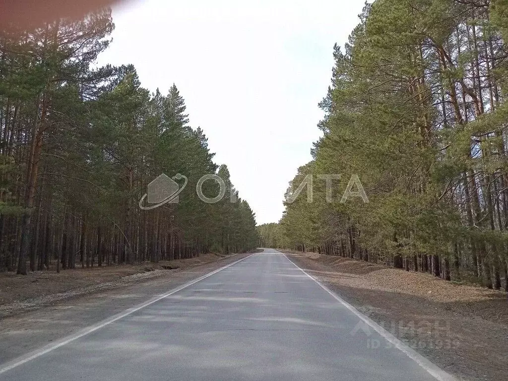 Участок в Тюменская область, Нижнетавдинский муниципальный округ, ... - Фото 1