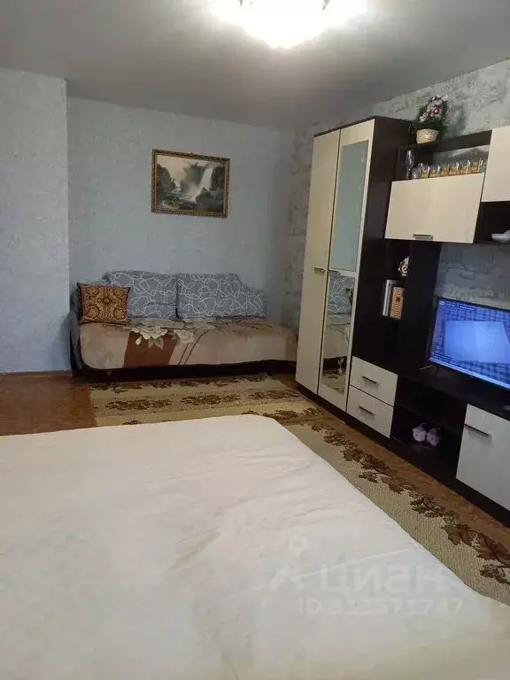 1-к кв. Воронежская область, Лиски ул. Свердлова, 53 (34.0 м) - Фото 1