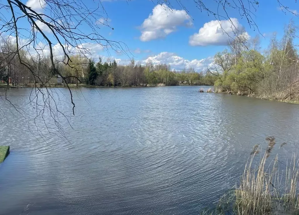 Участок в Московская область, Раменский муниципальный округ, Чистые ... - Фото 2