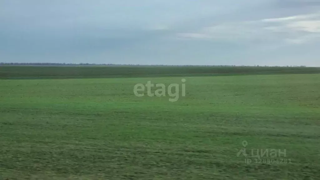 Участок в Крым, Сакский район, с. Штормовое ул. Южная (6.0 сот.) - Фото 1