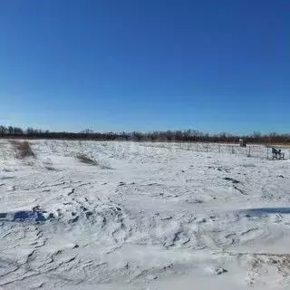 Участок в Амурская область, Благовещенский район, с. Чигири  (8.18 ... - Фото 1