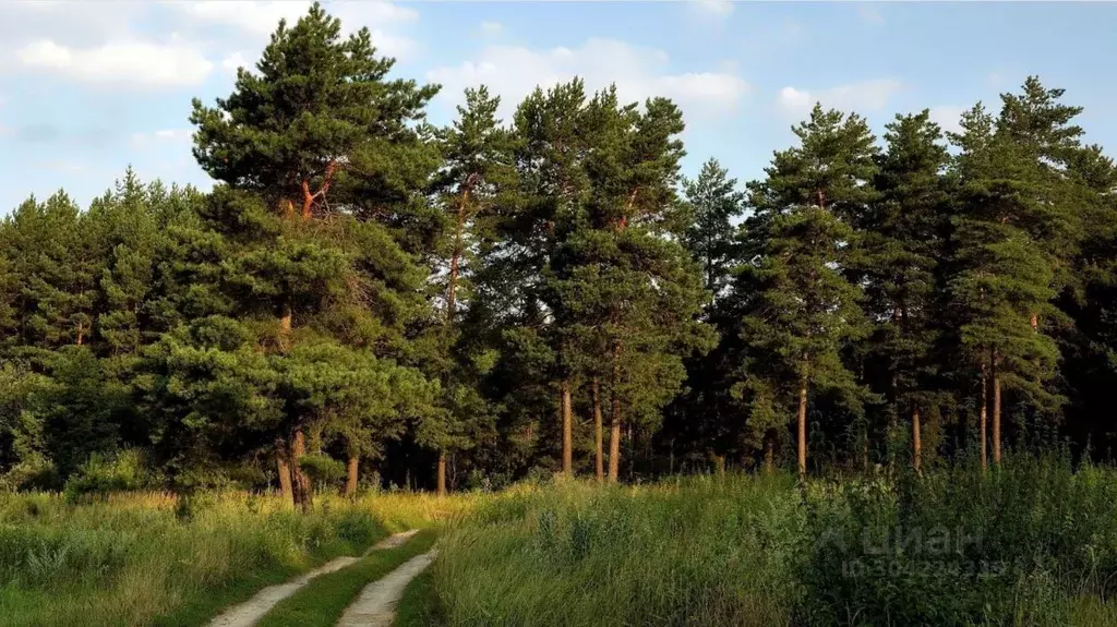 Участок в Тульская область, Тула городской округ, с. Зайцево ул. ... - Фото 1