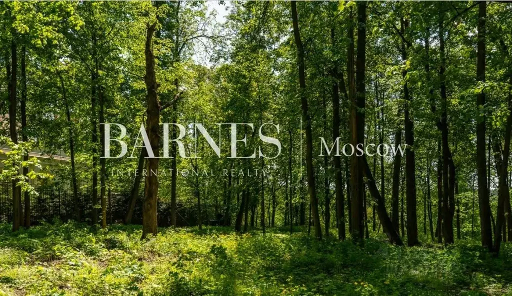 Участок в Московская область, Красногорск городской округ, с. ... - Фото 0