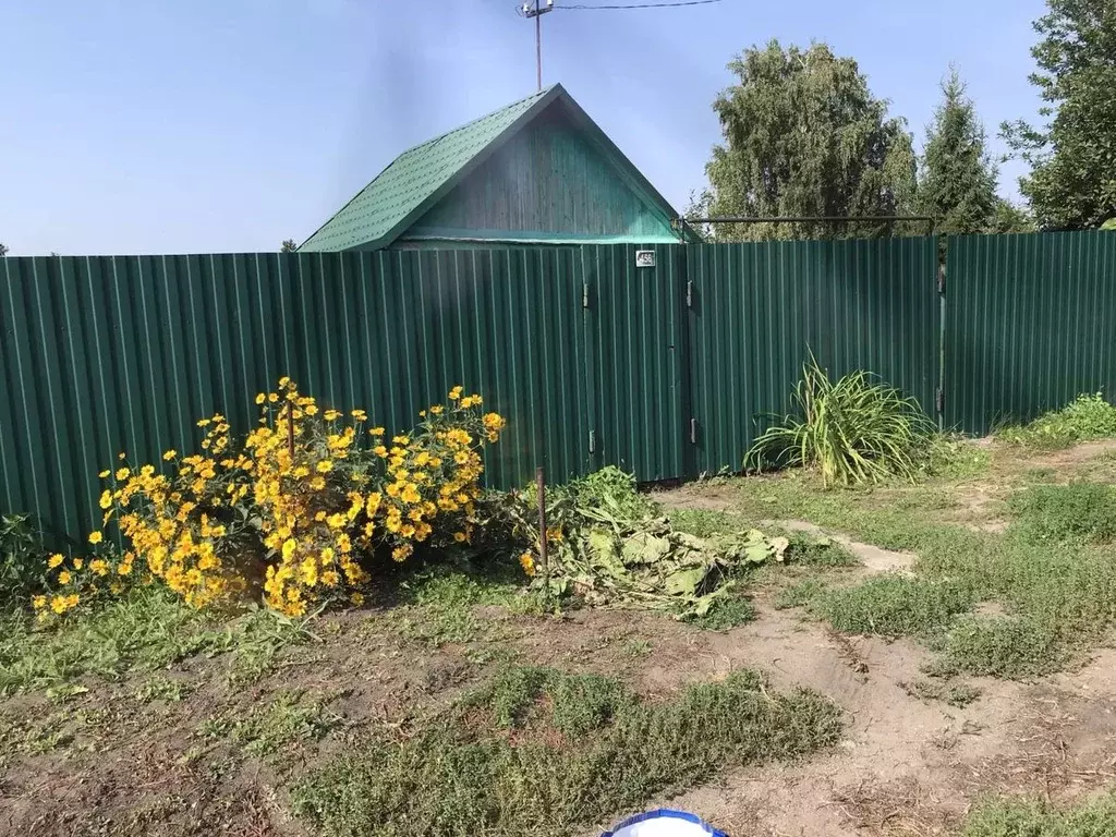 Участок в Омская область, Омск Рассвет СНТ, аллея 18-я (6.0 сот.) - Фото 2