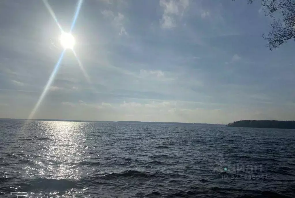 Участок, 6 сот., сельхоз (снт или днп) - Фото 2