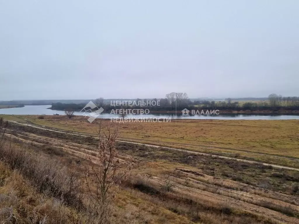 Участок в Рязанская область, Рязанский муниципальный округ, с. Казарь  ... - Фото 1