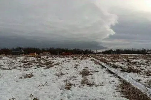 Участок в Новгородская область, Новгородский район, Трубичинское ... - Фото 1