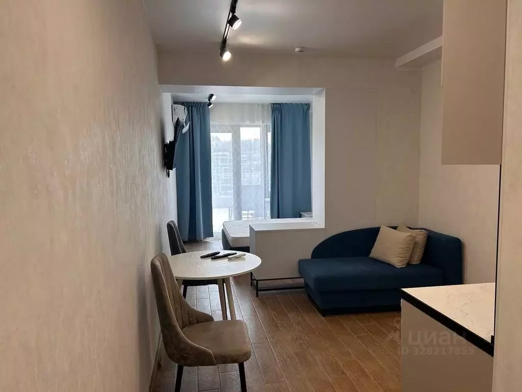 Студия Краснодарский край, Сочи городской округ, Дагомыс пгт ул. ... - Фото 2