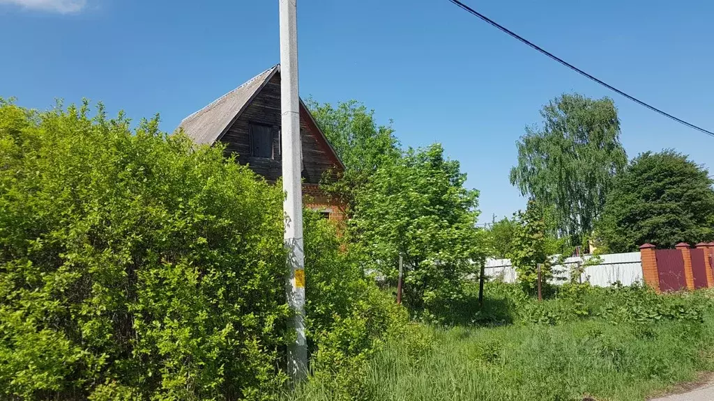 Участок в Московская область, Коломна городской округ, с. Белые ... - Фото 2