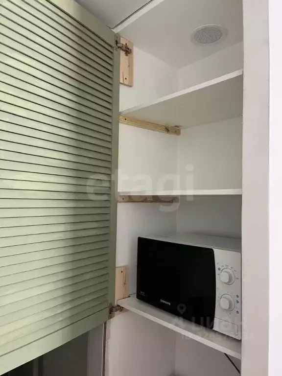 Студия Алтай, Майминский район, с. Майма ул. Ленина (30.7 м) - Фото 1