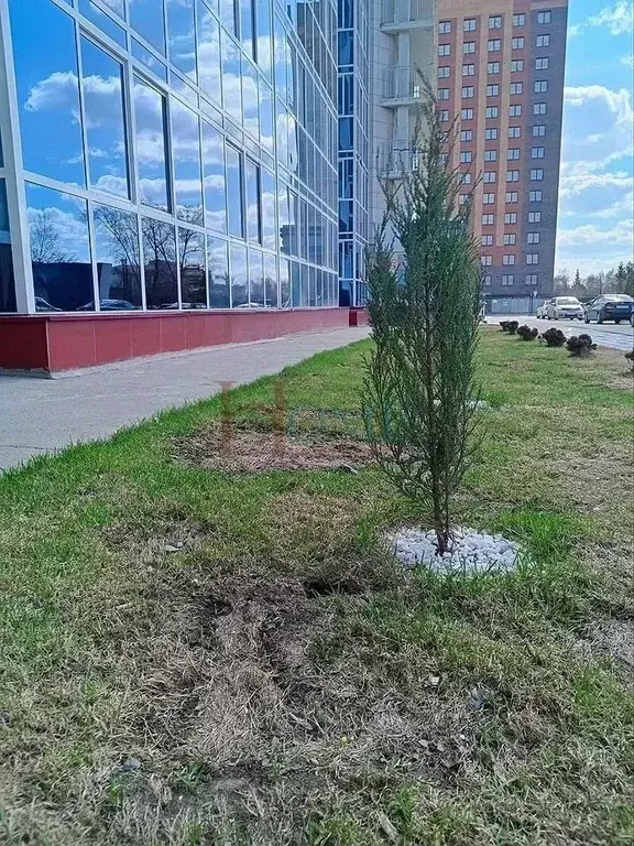 1-к кв. Новосибирская область, Новосибирск Красносельская ул., 6/1 ... - Фото 1