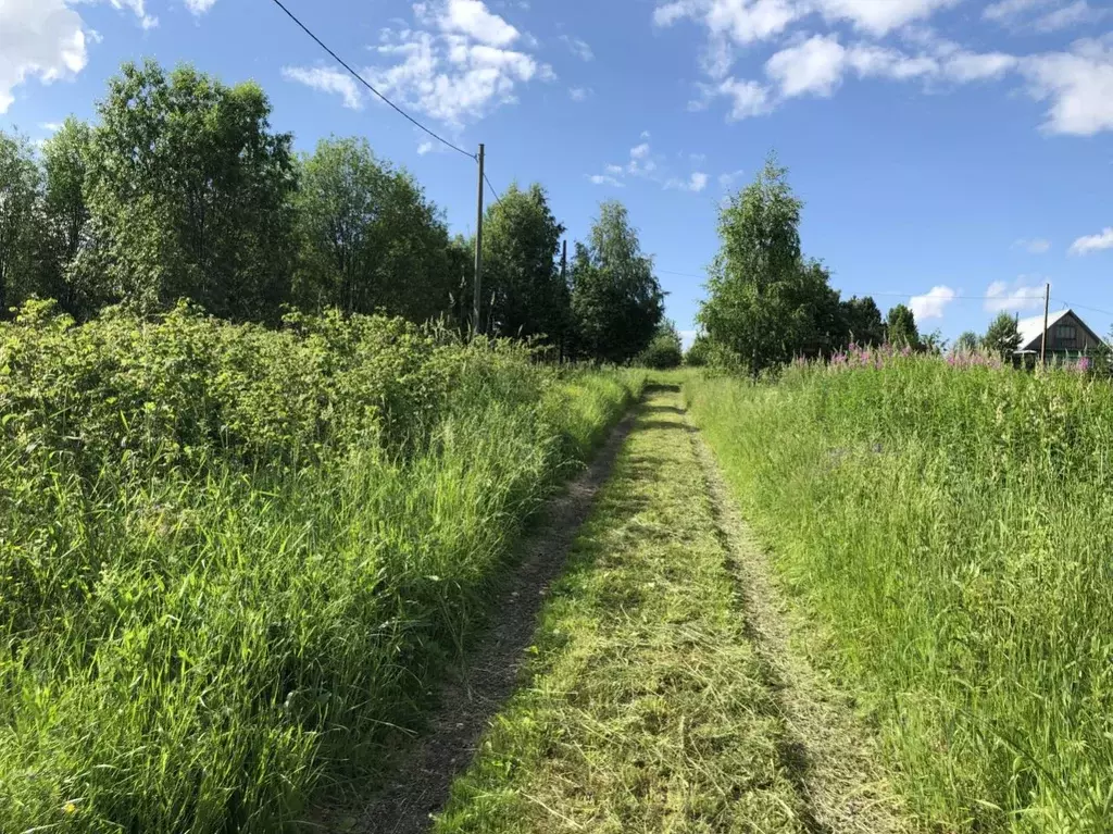 Пажга сыктывдинский район карта