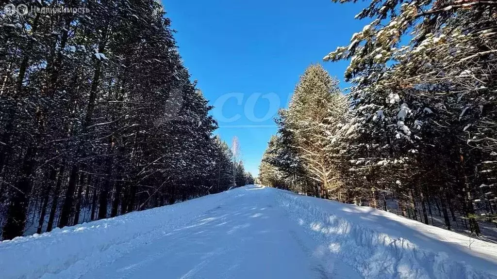 Участок в Тюменский муниципальный округ, посёлок городского типа ... - Фото 1