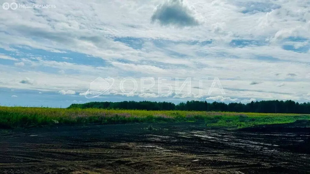 Участок в Тюменский муниципальный округ, село Кулаково (1290 м) - Фото 1