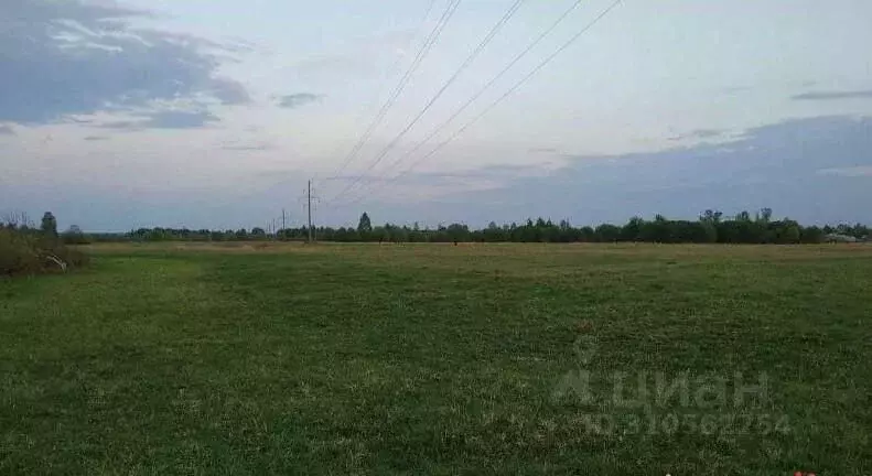 Участок в Владимирская область, Камешковский район, Сергеихинское ... - Фото 0