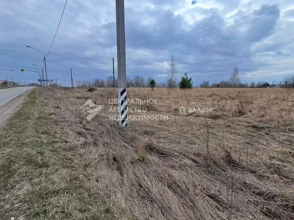 Участок в Рязанская область, Касимовский муниципальный округ, ... - Фото 1