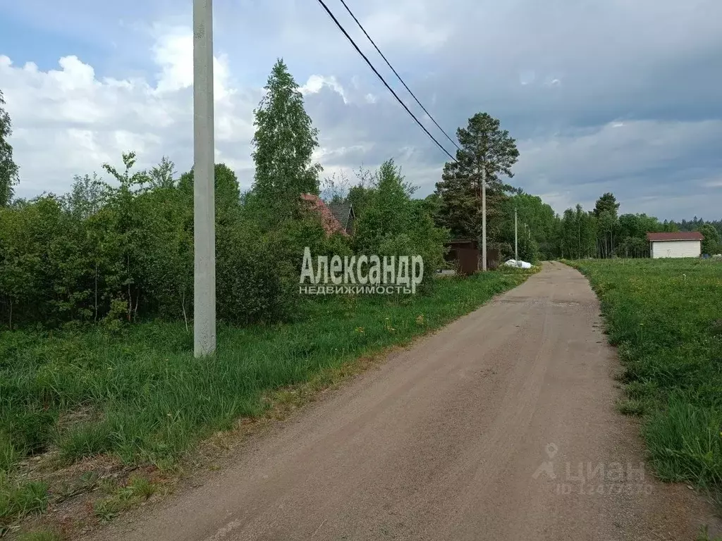 Участок в Ленинградская область, Приозерский район, Кузнечнинское ... - Фото 1