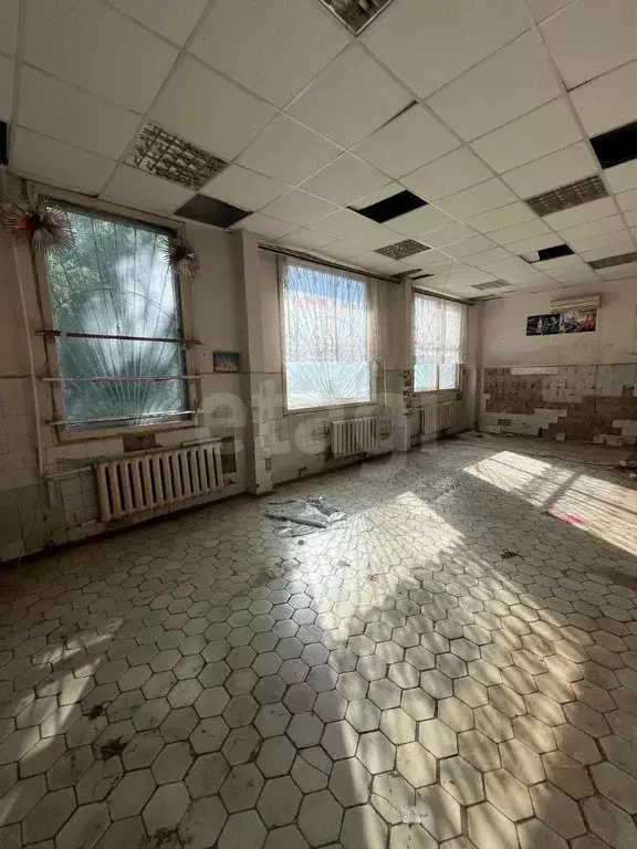 Торговая площадь в Калужская область, Калуга Куровской мкр, ул. ... - Фото 1