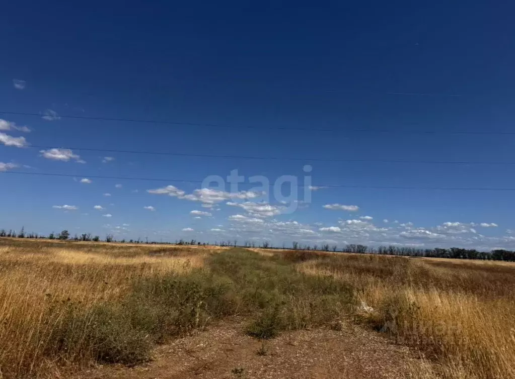 Участок в Крым, Симферопольский район, Николаевское с/пос, с. ... - Фото 1