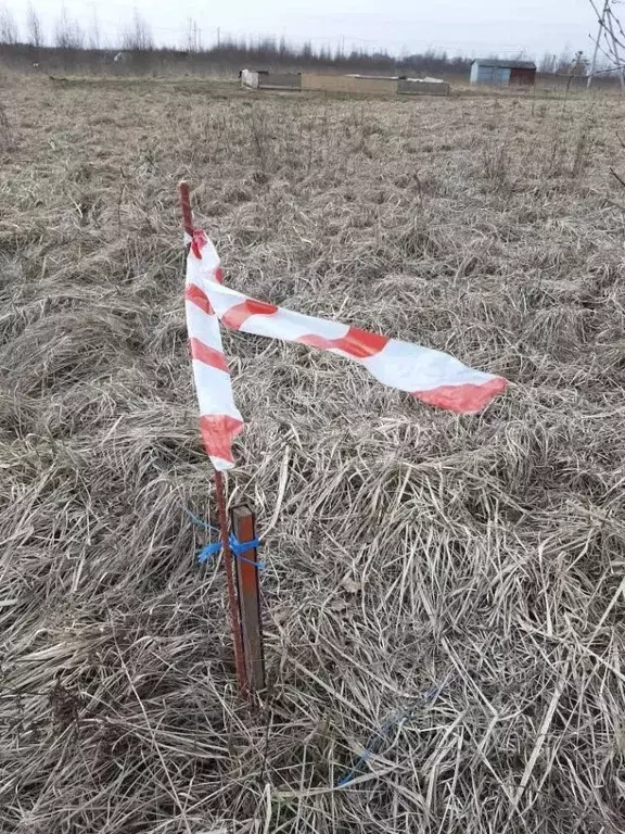 Участок в Псковская область, Псковский район, Завеличенская волость, ... - Фото 2