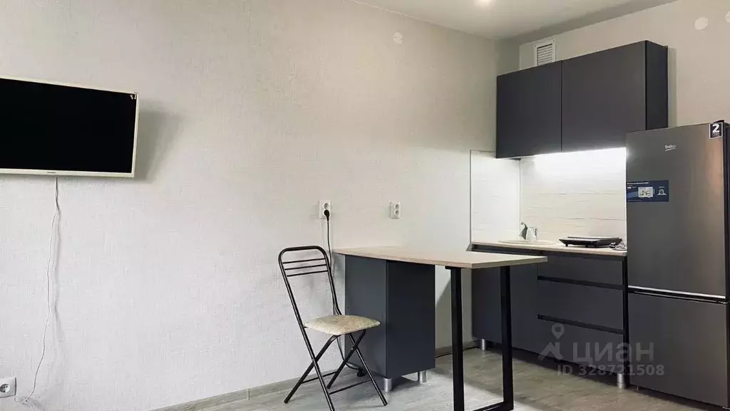 Студия Пермский край, д. Кондратово ул. Водопроводная, 6/2 (25.0 м) - Фото 2