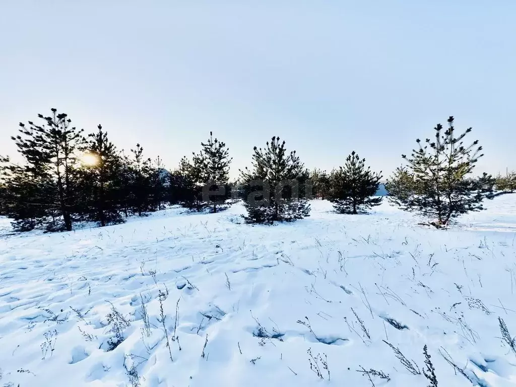 Участок в Забайкальский край, Чита Светлый мкр, 100 (23.51 сот.) - Фото 1