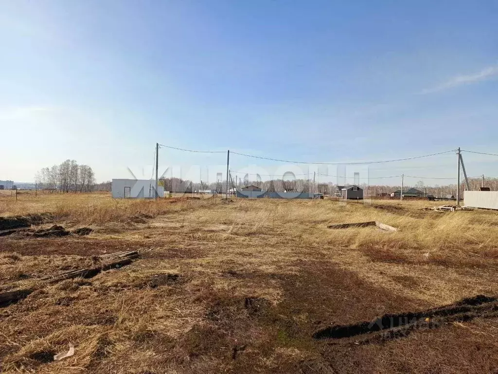 Участок в Новосибирская область, Новосибирский район, Морской ... - Фото 0