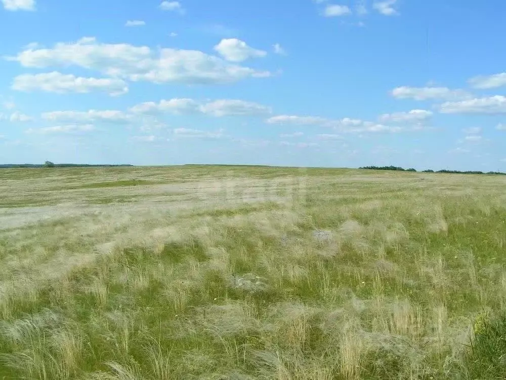 Участок в Калмыкия, Элиста ул. Ангарская (6.0 сот.) - Фото 2