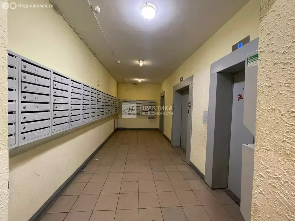 1-комнатная квартира: Балашиха, улица Дёмин Луг, 6/5 (50 м) - Фото 1