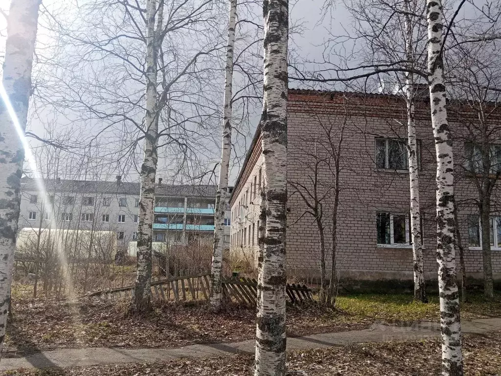 3-к кв. Архангельская область, Холмогорский муниципальный округ, д. ... - Фото 2