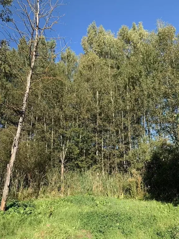 Участок в Московская область, Химки Клязьма кв-л,  (8.0 сот.) - Фото 2