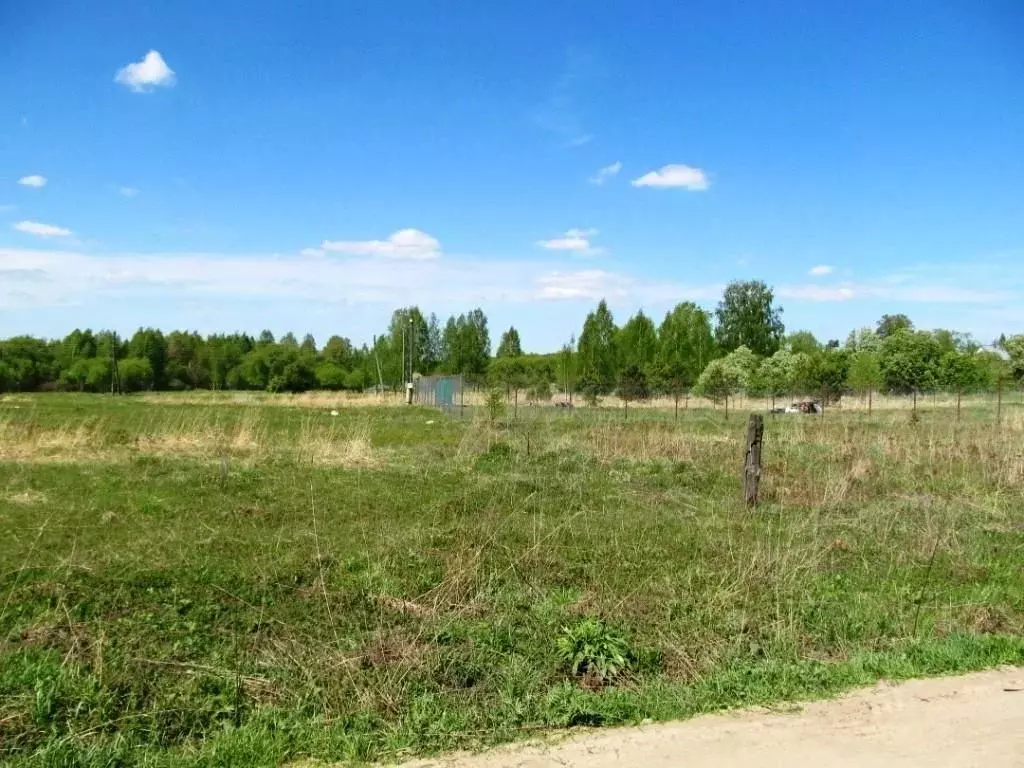 Участок в Владимирская область, Киржачский муниципальный округ, д. ... - Фото 1