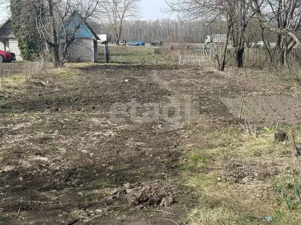 Участок в Брянская область, Брянск Мичуринец садовое общество, 2 (5.0 ... - Фото 1