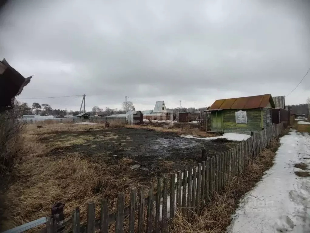 Дом в Новосибирская область, Новосибирск Садоводческого товарищества ... - Фото 1