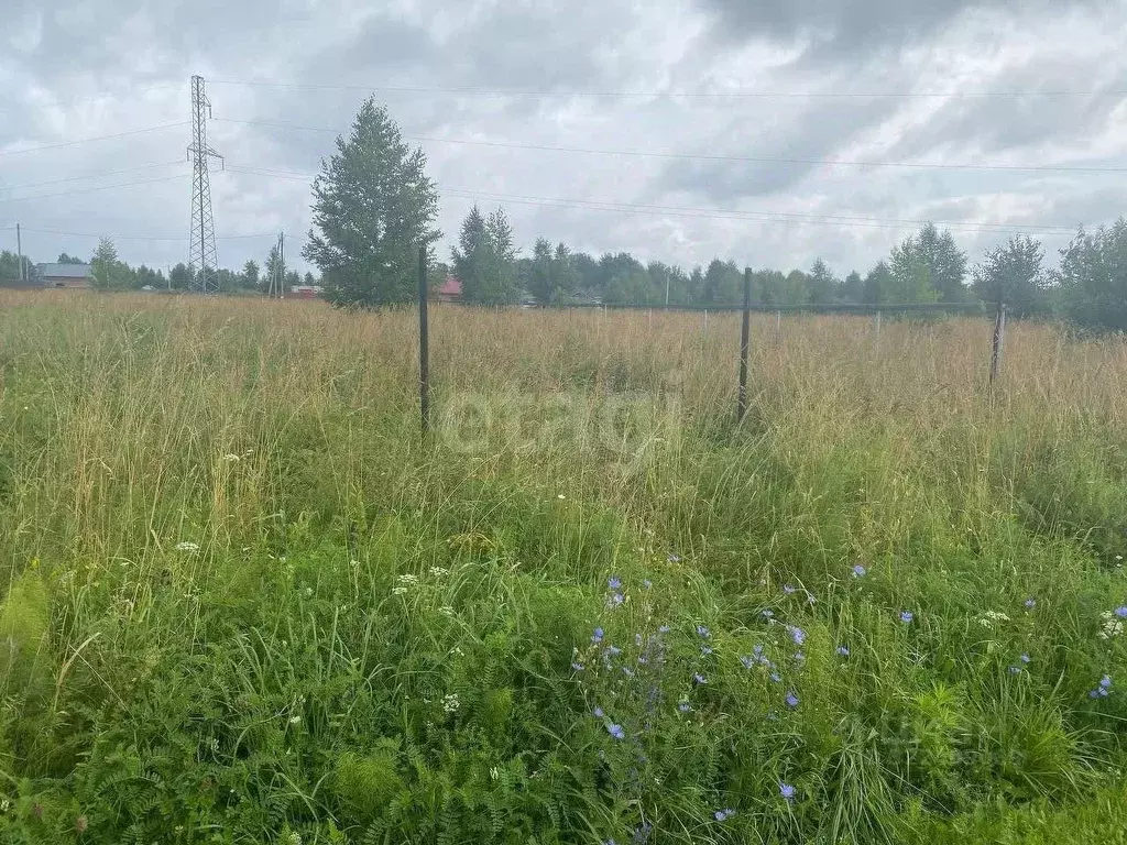 Участок в Новосибирская область, Искитимский район, с. Морозово ... - Фото 1