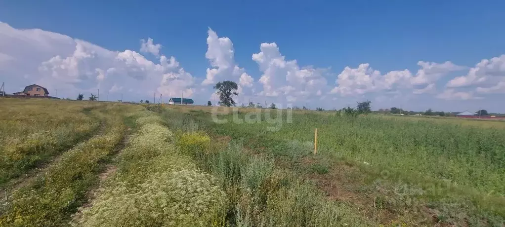 Участок в Воронежская область, Борисоглебский городской округ, с. ... - Фото 2