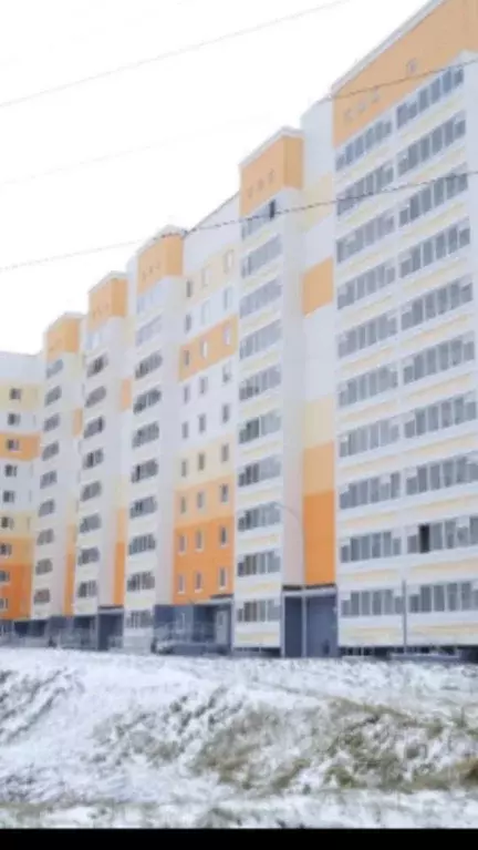 1-к кв. Пермский край, Пермь ул. Маяковского, 57 (28.1 м) - Фото 1