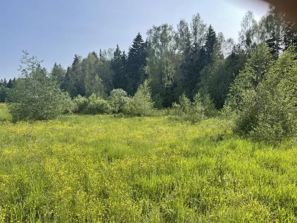 Участок в Московская область, Шаховская муниципальный округ, д. ... - Фото 2