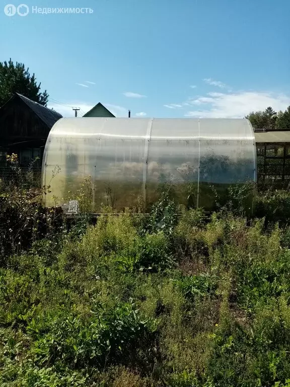 Участок в Иркутск, СТ Трикотажник, 31 (6 м) - Фото 1