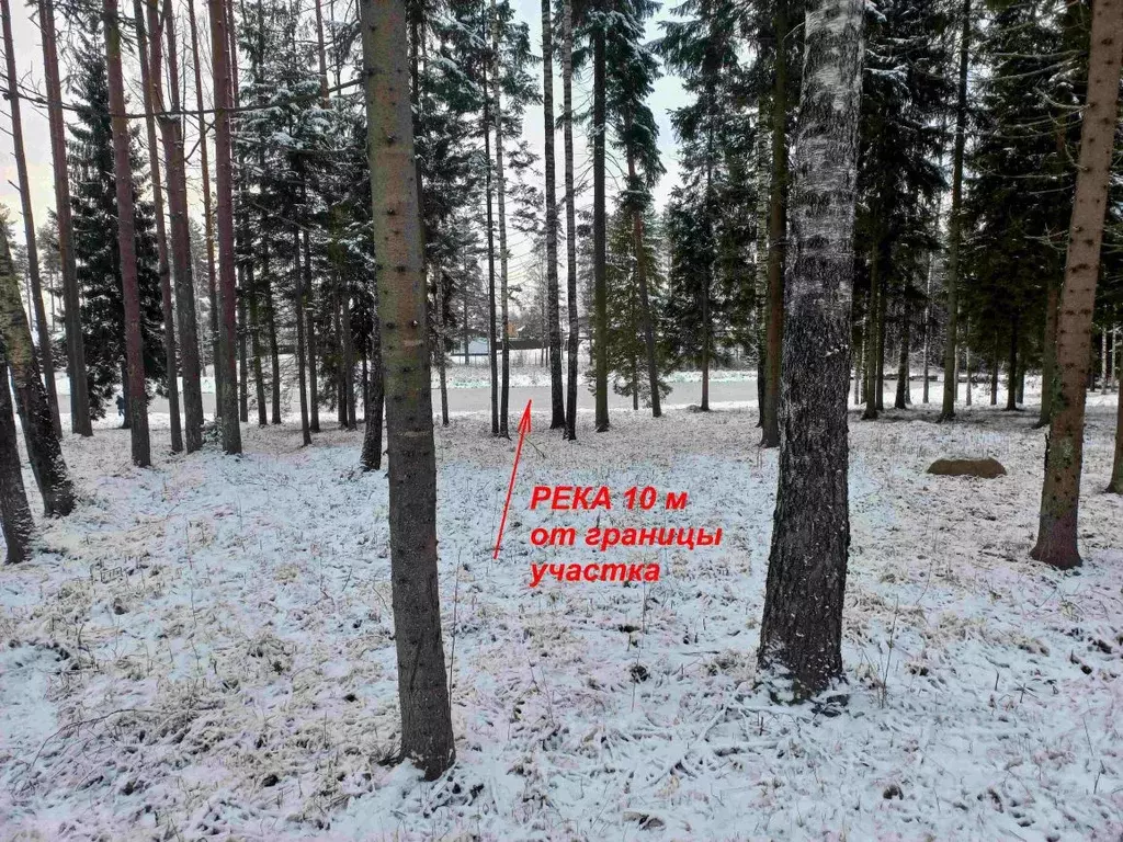 Участок в Ленинградская область, Выборгский район, Первомайское с/пос, ... - Фото 1