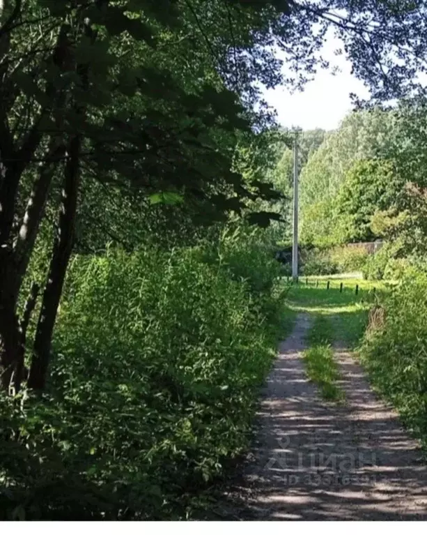 Участок в Ленинградская область, Выборгский район, Полянское с/пос, ... - Фото 2