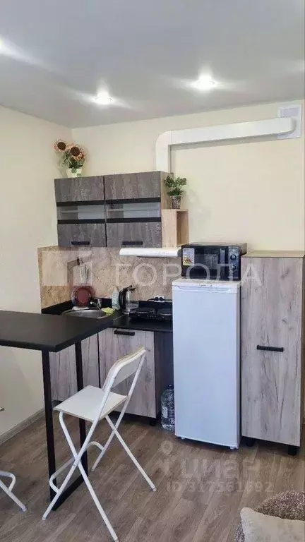 Студия Новосибирская область, Новосибирск ул. Забалуева, 69 (19.0 м) - Фото 0