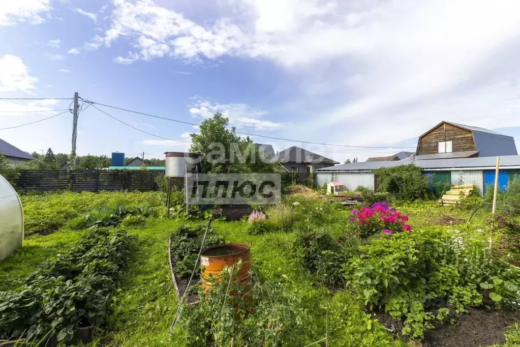 Участок в Тюменская область, Тюмень СОСН Радуга тер., ул. Ромашковая ... - Фото 1