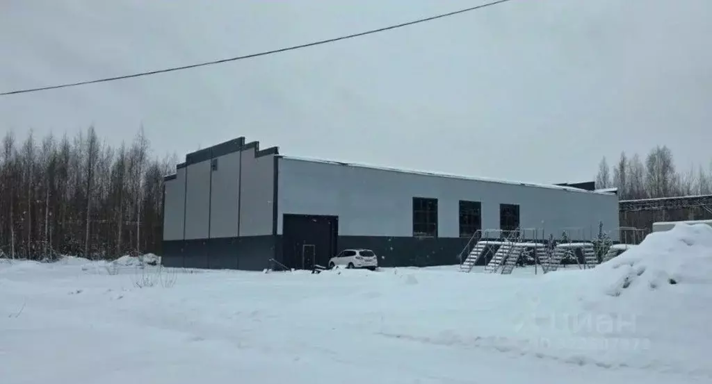 Производственное помещение в Ленинградская область, Всеволожск ул. ... - Фото 1