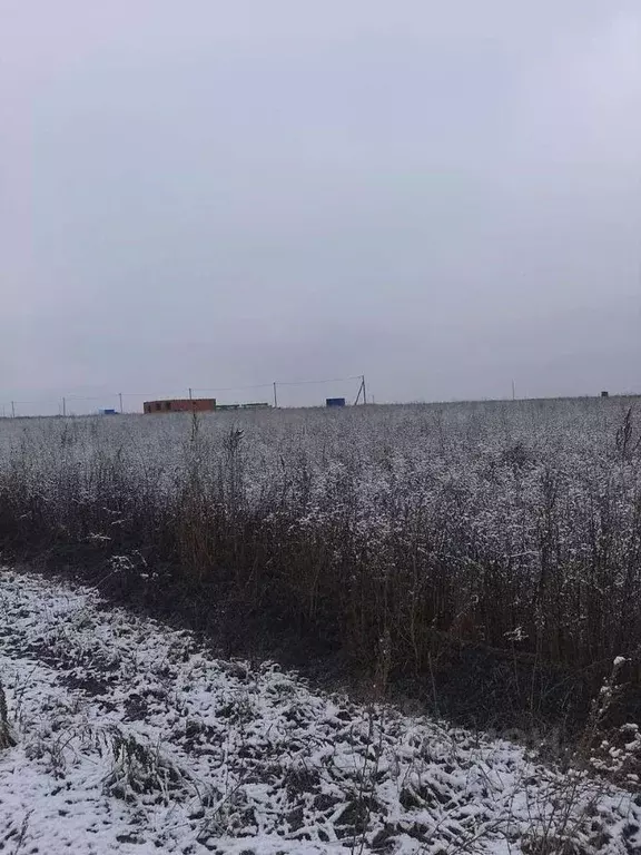 Участок в Белгородская область, Белгородский район, с. Стрелецкое ул. ... - Фото 1