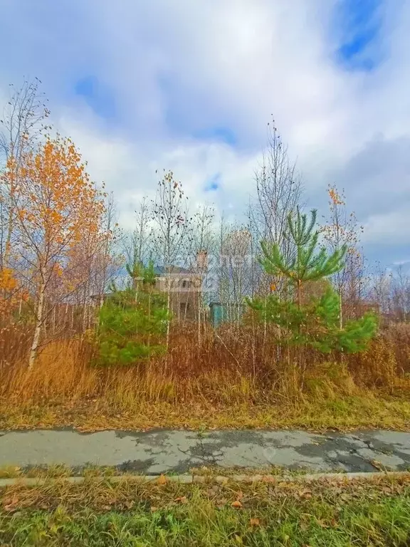 Участок в Нижегородская область, Бор Боталово-4 жилрайон, ул. ... - Фото 2